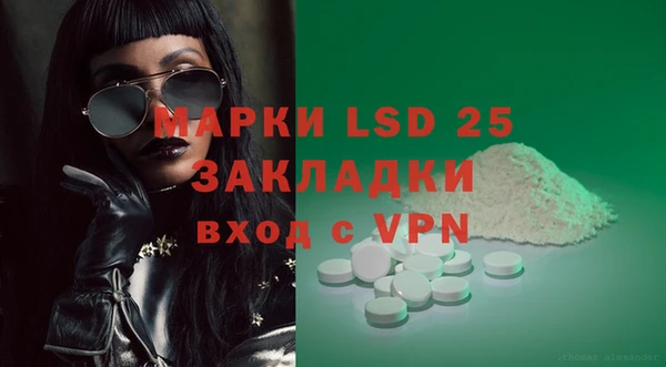 таблы Бородино