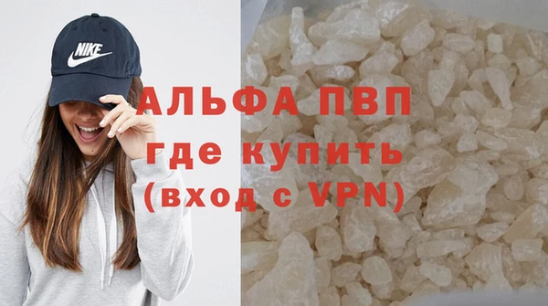 таблы Бородино